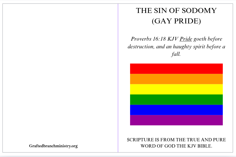 Tract: The SIN of Sodomy (Gay Pride)