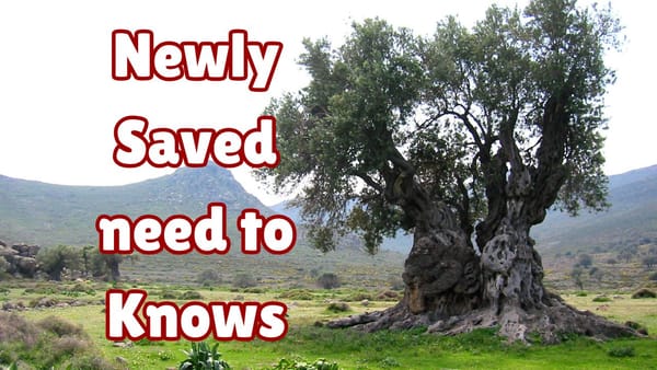 The Need To Knows After being Born Again