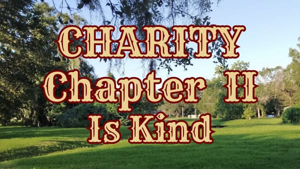 CHARTY IS KIND: chapter II