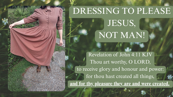 Adorned in Modest Apparel