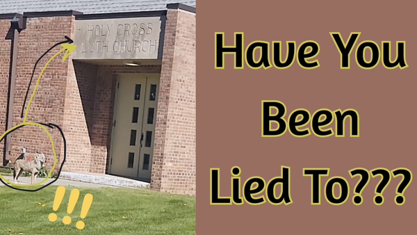 Gospel Tract PDF - Have You Been Lied To???