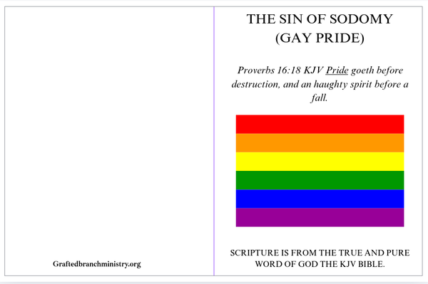 Tract: The SIN of Sodomy (Gay Pride)
