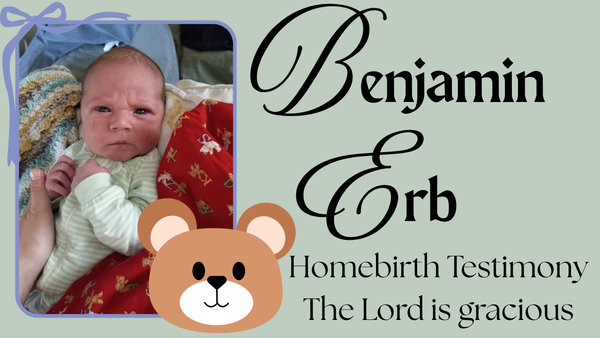 Homebirth Testimony (Benjamin)