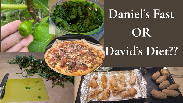 Are Biblical Diets Christian?